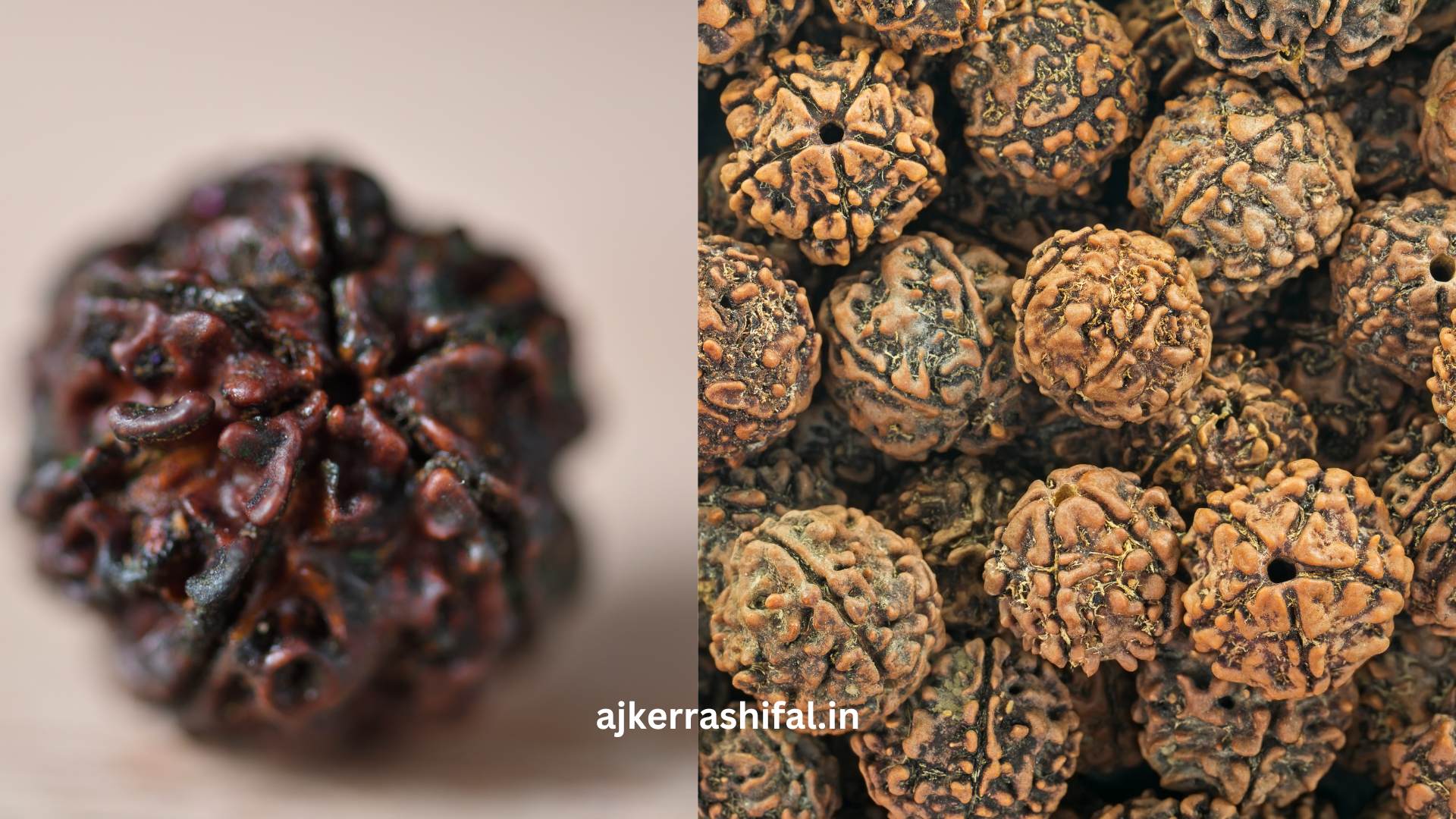 Vul Hobar Age 3 Mukhi Rudraksha Porar Niyom Jene Nin || 3 মুখী রুদ্রাক্ষ পরার সুবিধা এবং অসুবিধা কি কি?